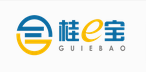 广西伟聪财富投资有限公司